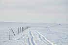 草原的雪 来自Ormis sodhuu的照片